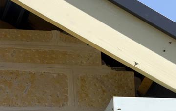 soffit repair Bransgore
