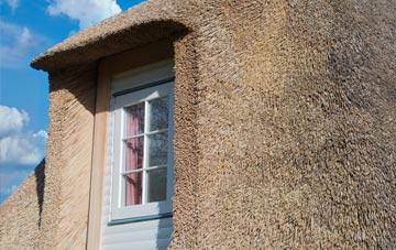 Bransgore thatch roof disadvantages