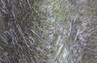 Bransgore fibreglass roof work